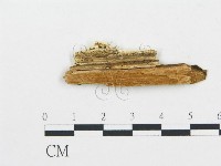 登錄號:F0006064藏品圖，第3張