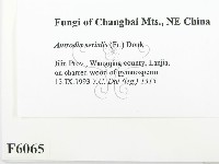 登錄號:F0006065藏品圖，第2張