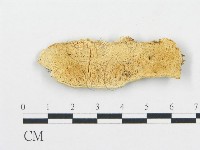 登錄號:F0006065藏品圖，第1張