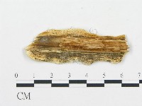 登錄號:F0006065藏品圖，第3張