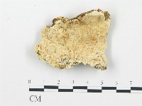 登錄號:F0006066藏品圖，第1張