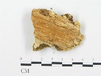 登錄號:F0006066藏品圖，第3張