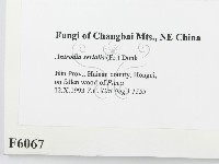 登錄號:F0006067藏品圖，第2張