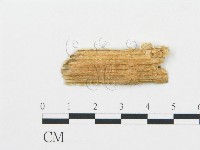 登錄號:F0006067藏品圖，第3張