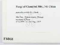 登錄號:F0006068藏品圖，第2張