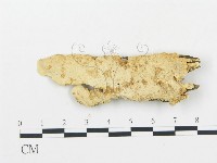 登錄號:F0006068藏品圖，第1張