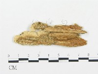 登錄號:F0006068藏品圖，第3張