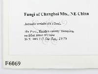登錄號:F0006069藏品圖，第2張