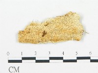 登錄號:F0006069藏品圖，第1張