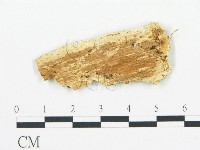 登錄號:F0006069藏品圖，第3張