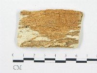 登錄號:F0006071藏品圖，第3張