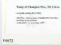 登錄號:F0006072藏品圖，第2張