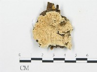 登錄號:F0006072藏品圖，第4張