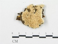登錄號:F0006072藏品圖，第5張