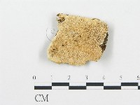 登錄號:F0006073藏品圖，第1張