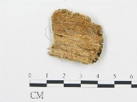 登錄號:F0006073藏品圖，第3張