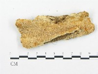 登錄號:F0006074藏品圖，第1張