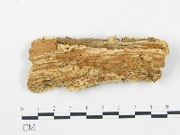 登錄號:F0006074藏品圖，第3張