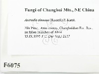 登錄號:F0006075藏品圖，第2張