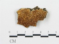 登錄號:F0006075藏品圖，第3張