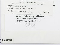 登錄號:F0006079藏品圖，第2張