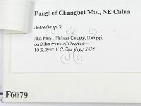 登錄號:F0006079藏品圖，第3張