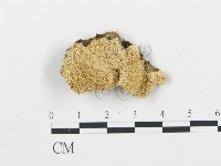 登錄號:F0006079藏品圖，第1張