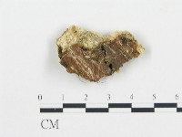 登錄號:F0006079藏品圖，第4張