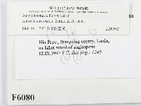 登錄號:F0006080藏品圖，第2張