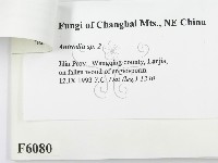 登錄號:F0006080藏品圖，第3張