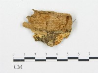 登錄號:F0006080藏品圖，第4張