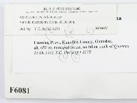 登錄號:F0006081藏品圖，第2張