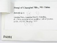 登錄號:F0006081藏品圖，第3張