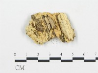 登錄號:F0006081藏品圖，第4張