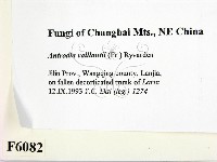 登錄號:F0006082藏品圖，第2張