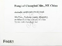 登錄號:F0006083藏品圖，第2張