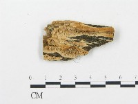 登錄號:F0006083藏品圖，第1張