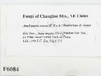 登錄號:F0006084藏品圖，第2張