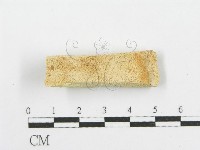 登錄號:F0006084藏品圖，第1張