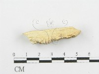 登錄號:F0006084藏品圖，第3張