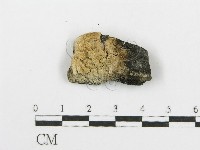 登錄號:F0006085藏品圖，第1張