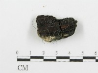 登錄號:F0006085藏品圖，第3張