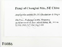 登錄號:F0006086藏品圖，第2張