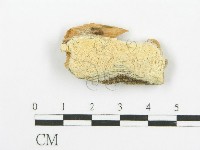 登錄號:F0006086藏品圖，第1張