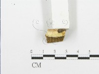 登錄號:F0006087藏品圖，第3張