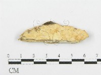 登錄號:F0006088藏品圖，第1張