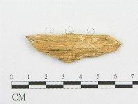 登錄號:F0006088藏品圖，第3張