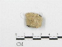 登錄號:F0006089藏品圖，第1張