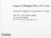 登錄號:F0006090藏品圖，第2張