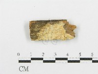 登錄號:F0006090藏品圖，第1張